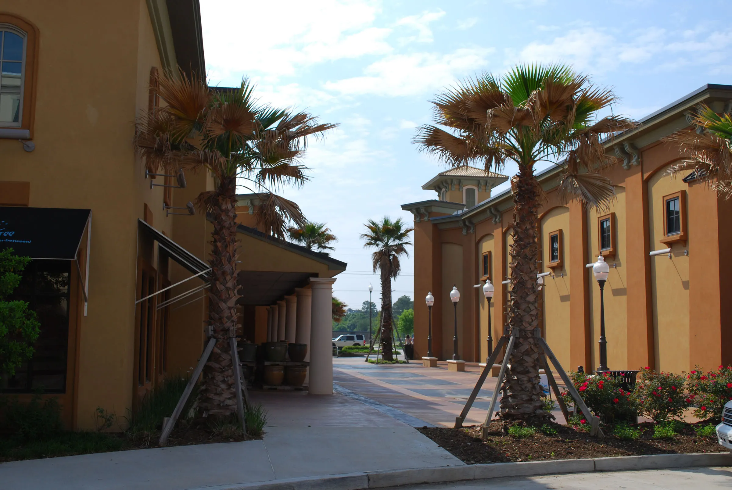 The Fresh Market Center — exterior view 2.